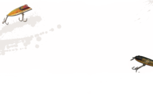 Lost Lake Lodge Fishing Packages Background