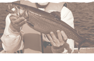 lost lake lodge fishing