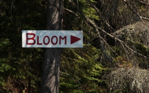 Bloom Lake