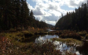 Leta Lake