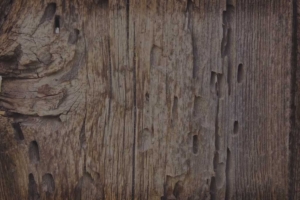Wood Plank Background
