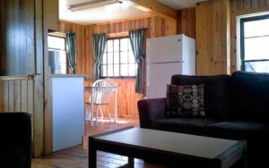 Cabin Living Area and Kitchen